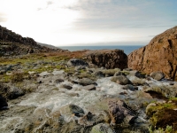 Tourism development in the Murmansk region was discussed at the BRICS forum